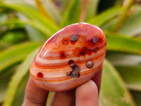 Polished Carnelian Agate Gemstone Galets x 20 From Madagascar