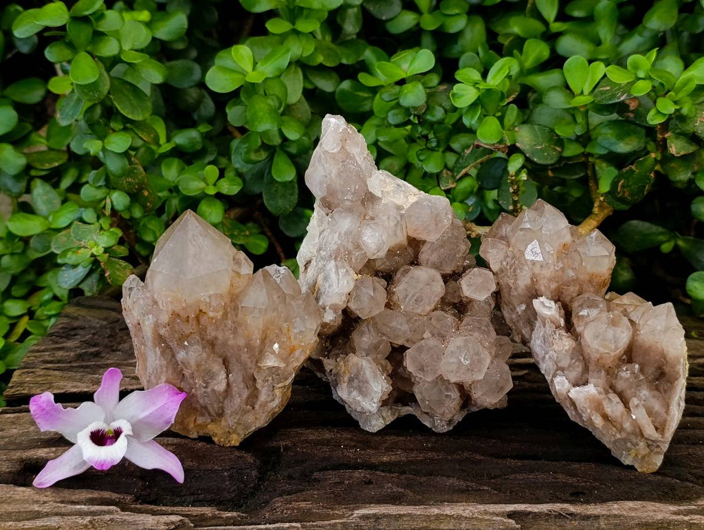 Natural Smokey Phantom Quartz Clusters x 3 From Luena, Congo - Toprock Gemstones and Minerals 