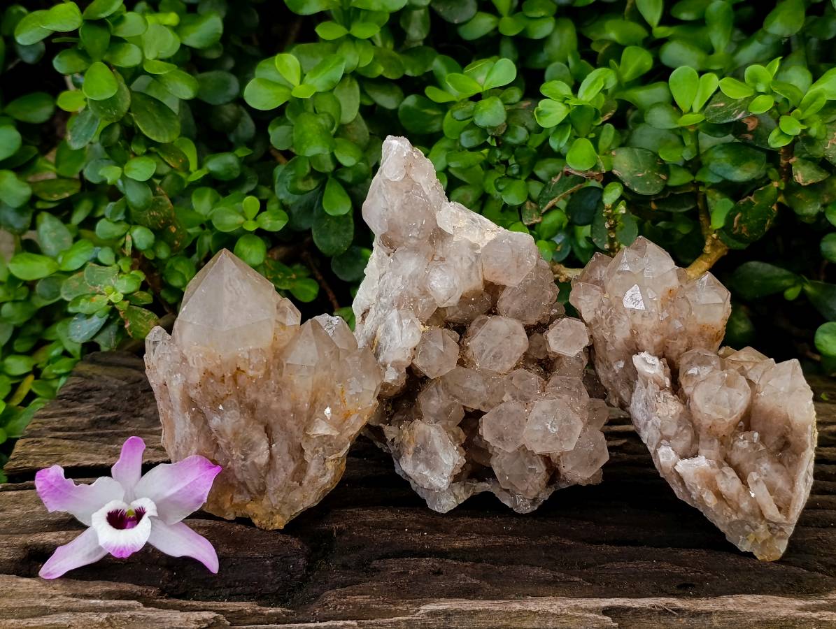 Natural Smokey Phantom Quartz Clusters x 3 From Luena, Congo - Toprock Gemstones and Minerals 