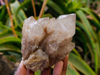 Natural Smokey Phantom Quartz Clusters x 3 From Luena, Congo - Toprock Gemstones and Minerals 