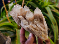 Natural Smokey Phantom Quartz Clusters x 3 From Luena, Congo