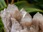 Natural Smokey Phantom Quartz Clusters x 3 From Luena, Congo - Toprock Gemstones and Minerals 