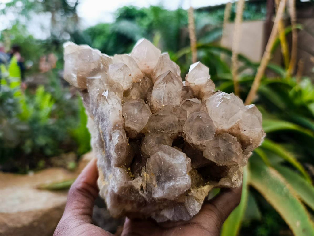 Natural Smokey Phantom Quartz Clusters x 3 From Luena, Congo - Toprock Gemstones and Minerals 