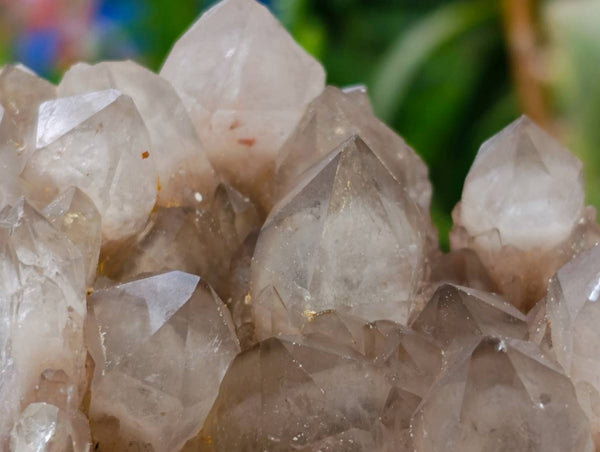 Natural Smokey Phantom Quartz Clusters x 3 From Luena, Congo