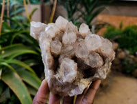 Natural Smokey Phantom Quartz Clusters x 3 From Luena, Congo