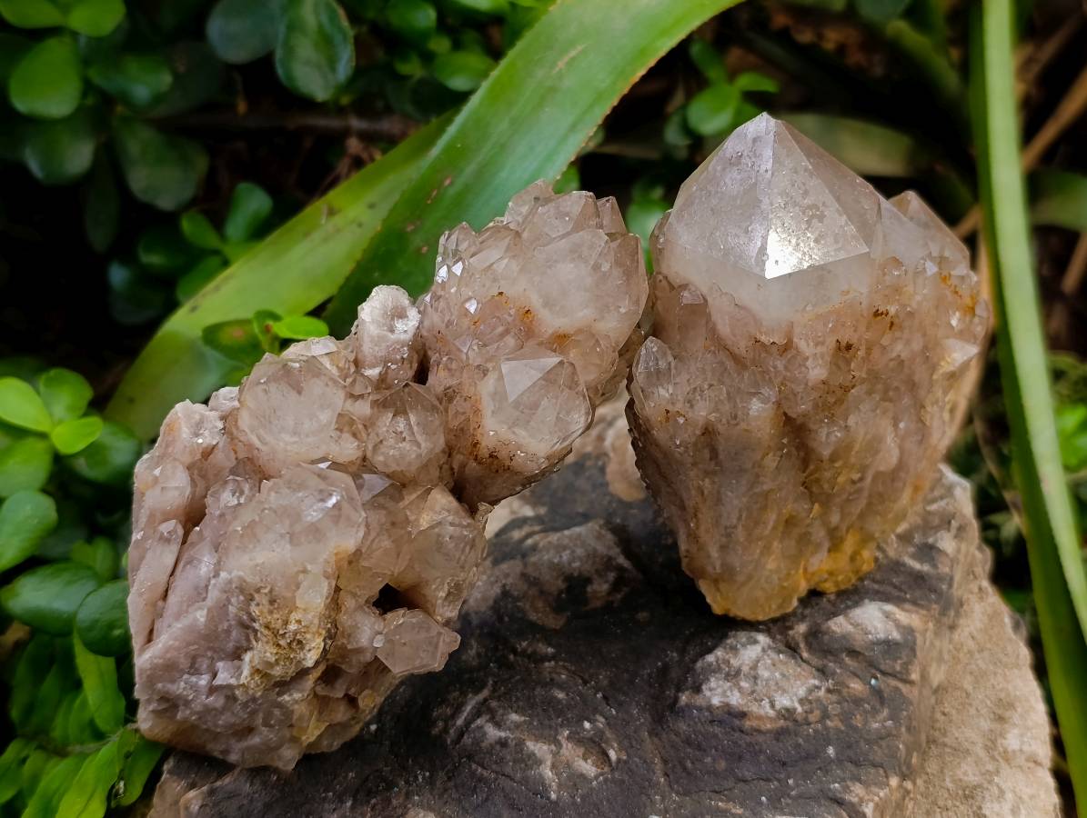 Natural Smokey Phantom Quartz Clusters x 3 From Luena, Congo - Toprock Gemstones and Minerals 