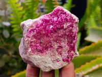 Natural Salrose Cobaltion Dolomite with Malachite Specimens x 6 From Kakanda, Congo