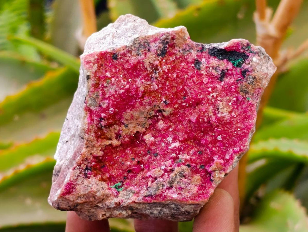 Natural Salrose Cobaltion Dolomite with Malachite Specimens x 6 From Kakanda, Congo - Toprock Gemstones and Minerals 