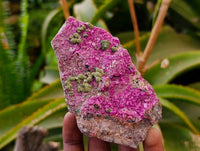 Natural Salrose Cobaltion Dolomite with Malachite Specimens x 6 From Kakanda, Congo