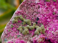 Natural Salrose Cobaltion Dolomite with Malachite Specimens x 6 From Kakanda, Congo