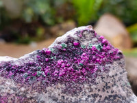 Natural Salrose Cobaltion Dolomite with Malachite Specimens x 6 From Kakanda, Congo