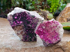 Natural Salrose Cobaltion Dolomite with Malachite Specimens x 6 From Kakanda, Congo - Toprock Gemstones and Minerals 