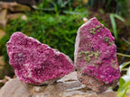 Natural Salrose Cobaltion Dolomite with Malachite Specimens x 6 From Kakanda, Congo - Toprock Gemstones and Minerals 