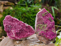 Natural Salrose Cobaltion Dolomite with Malachite Specimens x 6 From Kakanda, Congo