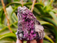 Natural Salrose Cobaltion Dolomite with Malachite Specimens x 6 From Kakanda, Congo