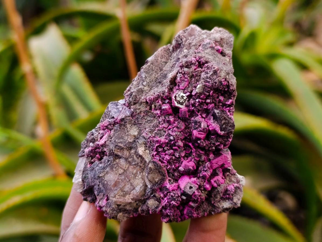 Natural Salrose Cobaltion Dolomite with Malachite Specimens x 6 From Kakanda, Congo - Toprock Gemstones and Minerals 