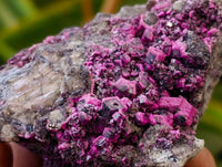 Natural Salrose Cobaltion Dolomite with Malachite Specimens x 6 From Kakanda, Congo