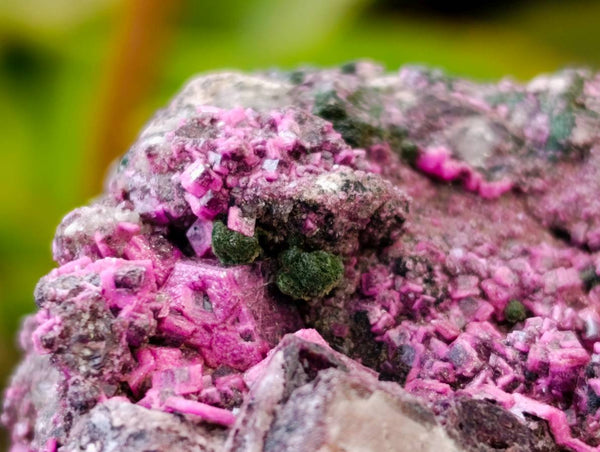 Natural Salrose Cobaltion Dolomite with Malachite Specimens x 6 From Kakanda, Congo