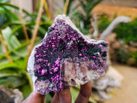 Natural Salrose Cobaltion Dolomite with Malachite Specimens x 6 From Kakanda, Congo