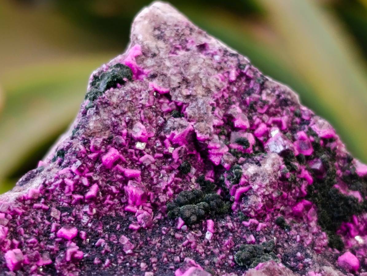 Natural Salrose Cobaltion Dolomite with Malachite Specimens x 6 From Kakanda, Congo - Toprock Gemstones and Minerals 