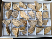 Natural Cobbed Picture Stone Jasper Specimens x 24 - From Ais-Ais, Namibia
