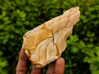 Natural Cobbed Picture Stone Jasper Specimens x 24 - From Ais-Ais, Namibia