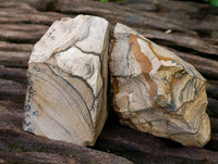 Natural Cobbed Picture Stone Jasper Specimens x 24 - From Ais-Ais, Namibia