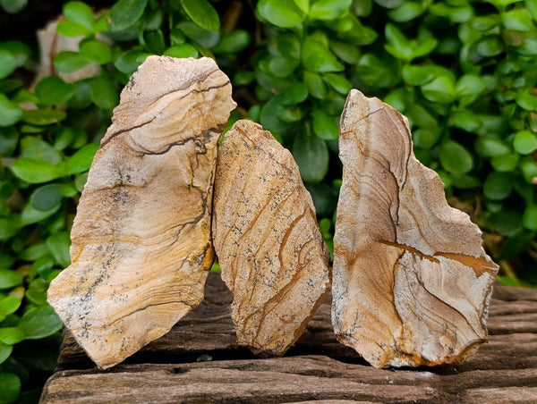 Natural Cobbed Picture Stone Jasper Specimens x 24 - From Ais-Ais, Namibia