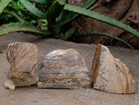 Natural Cobbed Picture Stone Jasper Specimens x 24 - From Ais-Ais, Namibia