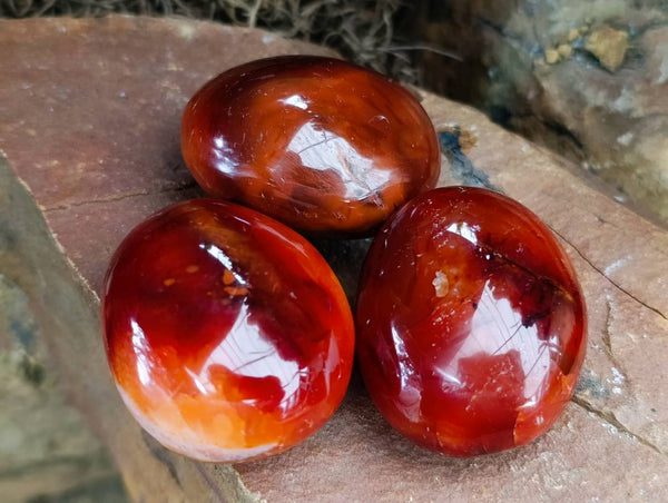 Polished Carnelian Agate Gemstone Galets x 12 From Madagascar