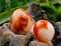 Polished Carnelian Agate Gemstone Galets x 12 From Madagascar