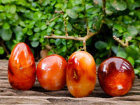 Polished Carnelian Agate Gemstone Galets x 12 From Madagascar