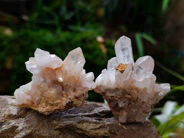 Natural Quartz Clusters x 24 From Mpika, Zambia