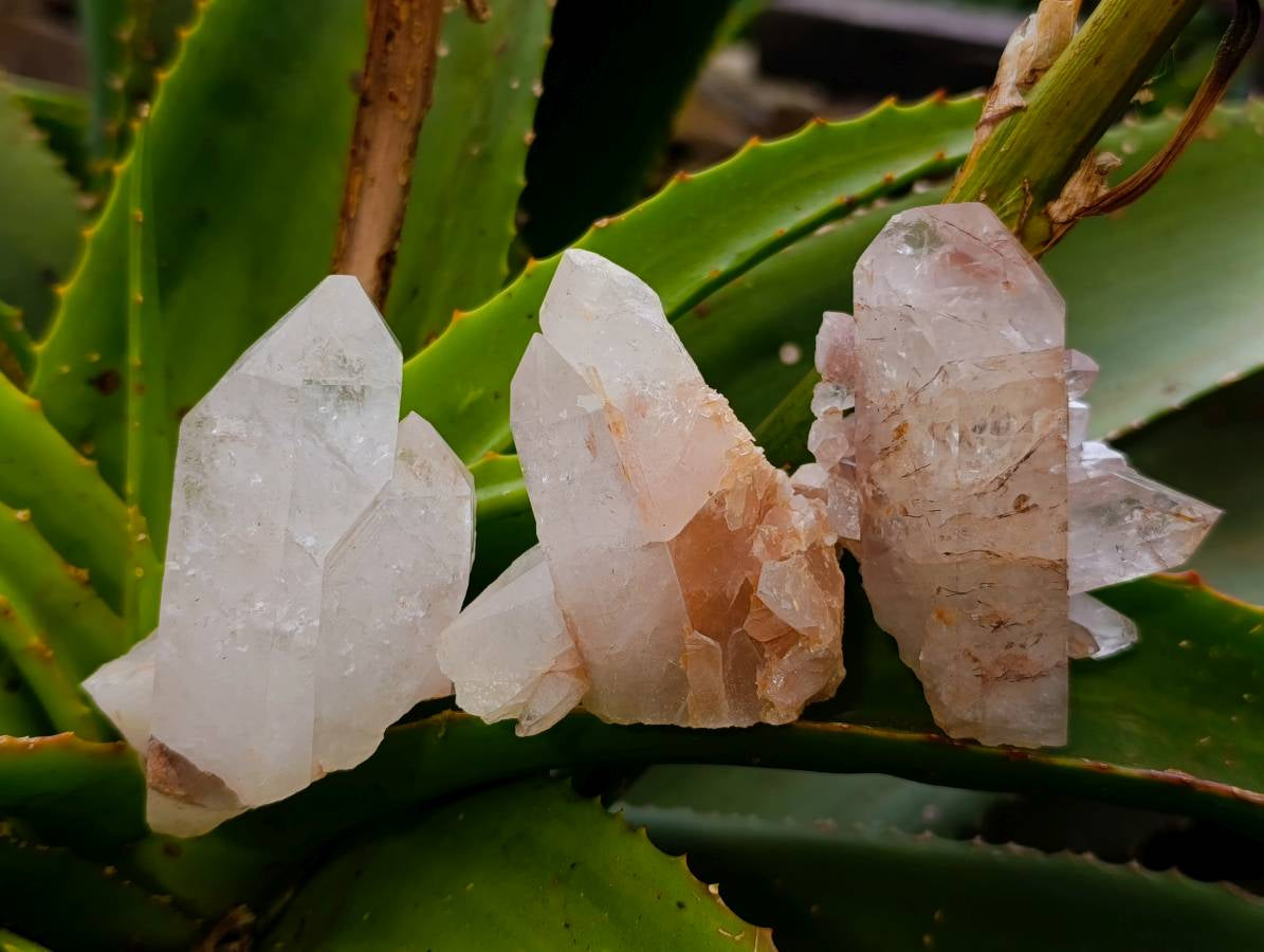 Natural Quartz Clusters x 24 From Mpika, Zambia - Toprock Gemstones and Minerals 