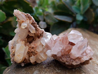 Natural Quartz Clusters x 24 From Mpika, Zambia
