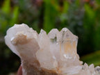 Natural Quartz Clusters x 24 From Mpika, Zambia - Toprock Gemstones and Minerals 