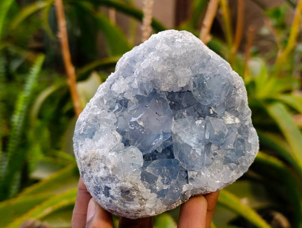 Natural Blue Celestite Specimens x 3 From Sakoany, Madagascar