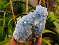 Natural Blue Celestite Specimens x 3 From Sakoany, Madagascar
