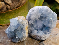 Natural Blue Celestite Specimens x 3 From Sakoany, Madagascar
