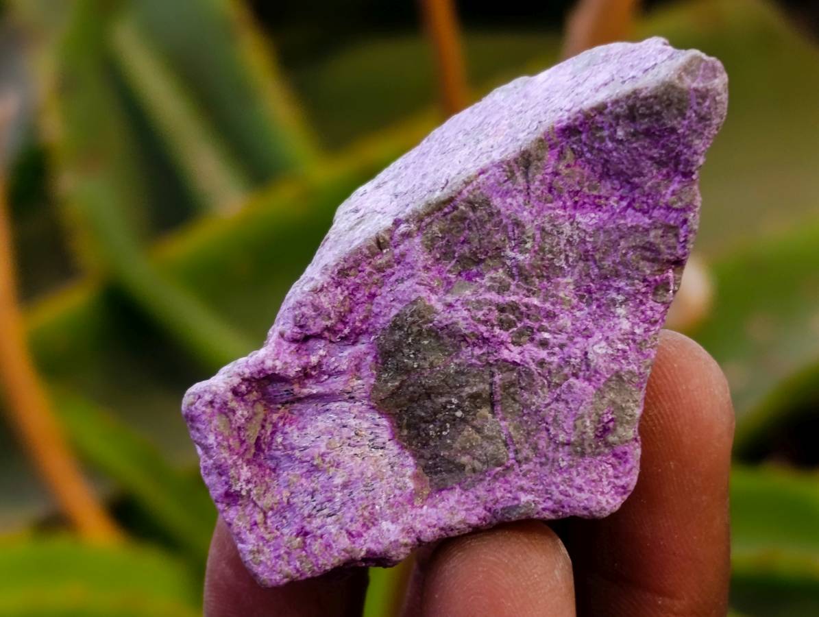 Natural Stichtite Cobbed Specimens x 2.24Kg Lot From Barberton, South Africa - Toprock Gemstones and Minerals 