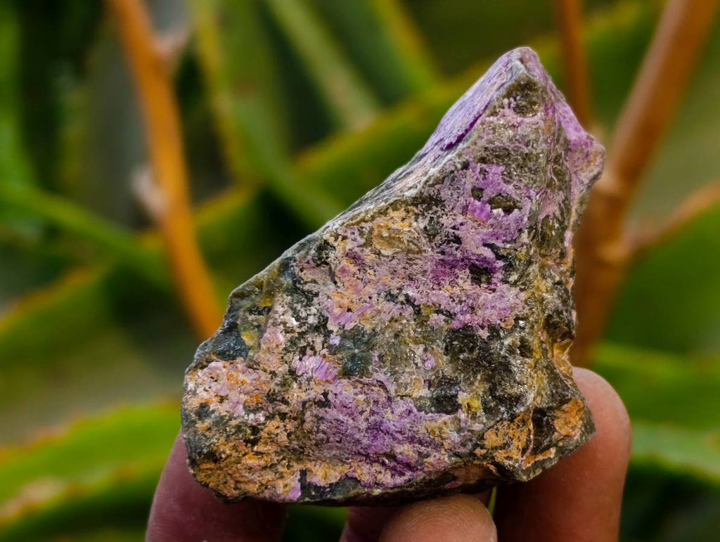 Natural Stichtite Cobbed Specimens x 2.24Kg Lot From Barberton, South Africa - Toprock Gemstones and Minerals 