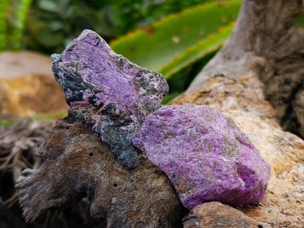 Natural Stichtite Cobbed Specimens x 2.24Kg Lot From Barberton, South Africa - Toprock Gemstones and Minerals 