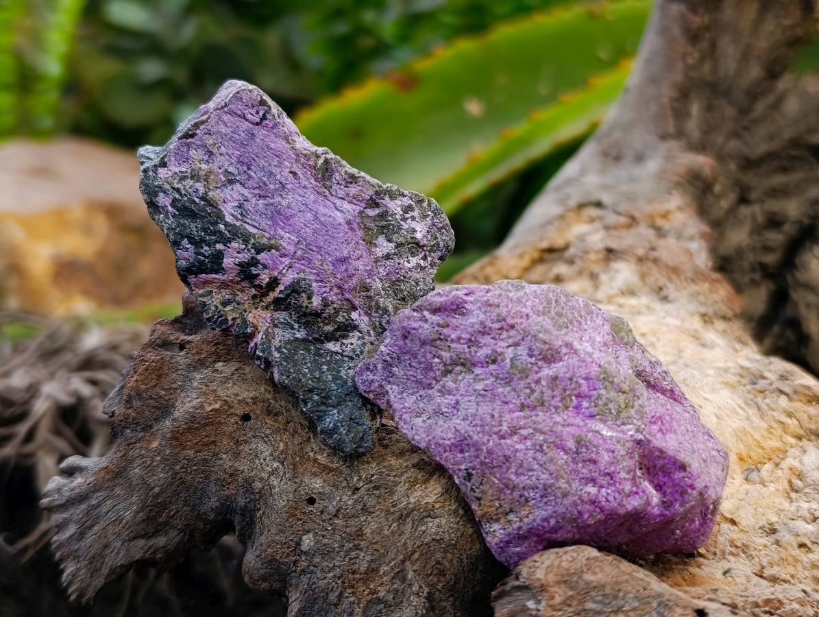 Natural Stichtite Cobbed Specimens x 2.24Kg Lot From Barberton, South Africa - Toprock Gemstones and Minerals 