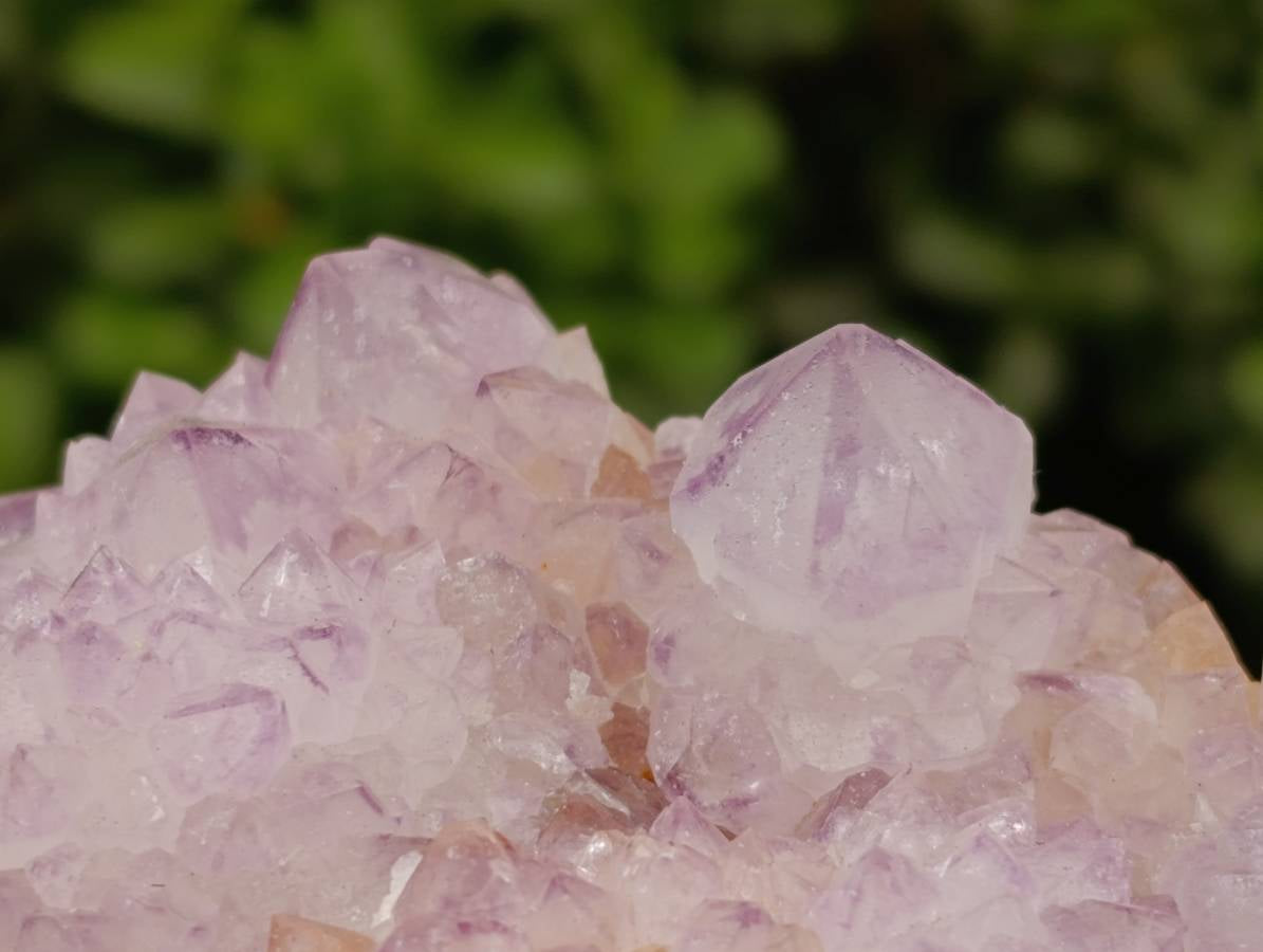 Natural Sunburst Amethyst Spirit Quartz Clusters x 2 From Boekenhouthoek, South Africa - Toprock Gemstones and Minerals 