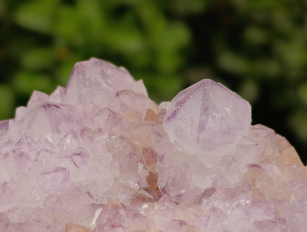 Natural Sunburst Amethyst Spirit Quartz Clusters x 2 From Boekenhouthoek, South Africa