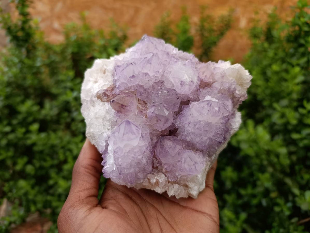 Natural Sunburst Amethyst Spirit Quartz Clusters x 2 From Boekenhouthoek, South Africa - Toprock Gemstones and Minerals 