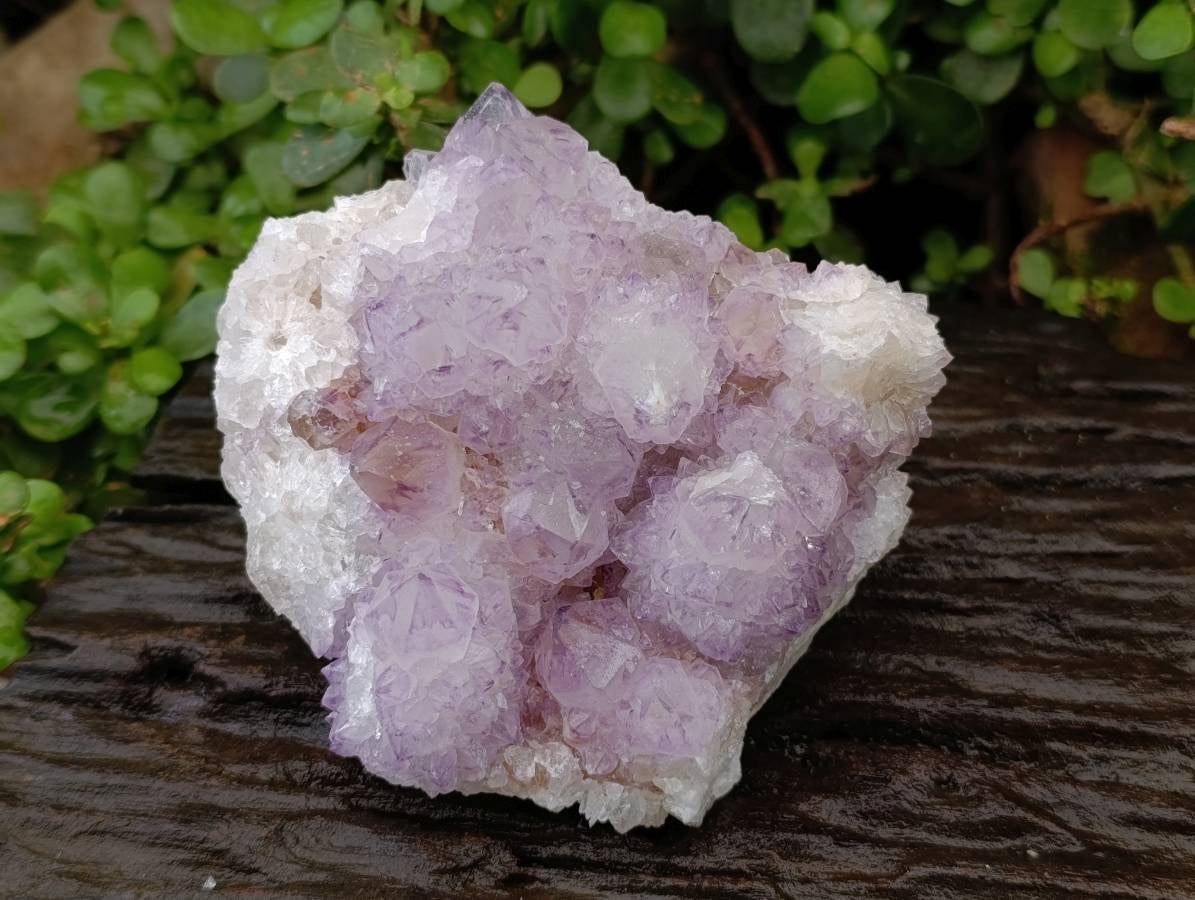Natural Sunburst Amethyst Spirit Quartz Clusters x 2 From Boekenhouthoek, South Africa - Toprock Gemstones and Minerals 