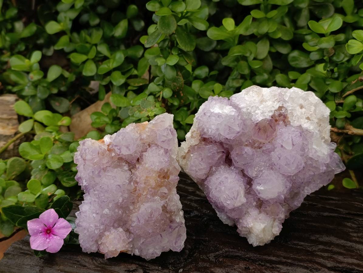 Natural Sunburst Amethyst Spirit Quartz Clusters x 2 From Boekenhouthoek, South Africa - Toprock Gemstones and Minerals 