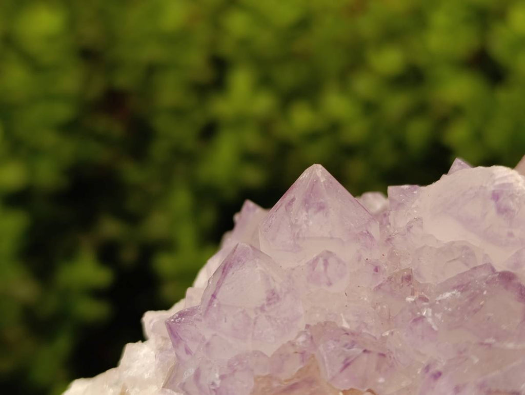 Natural Sunburst Amethyst Spirit Quartz Clusters x 2 From Boekenhouthoek, South Africa - Toprock Gemstones and Minerals 