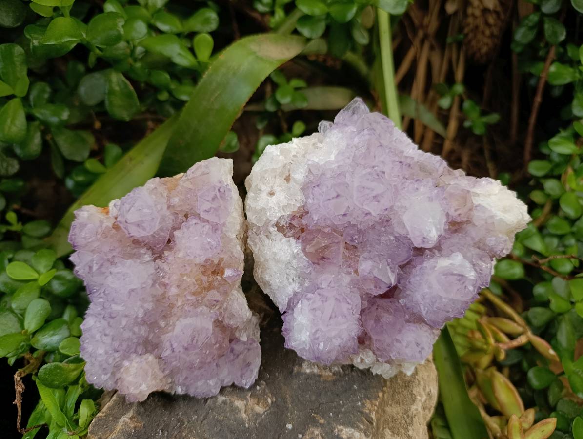 Natural Sunburst Amethyst Spirit Quartz Clusters x 2 From Boekenhouthoek, South Africa - Toprock Gemstones and Minerals 
